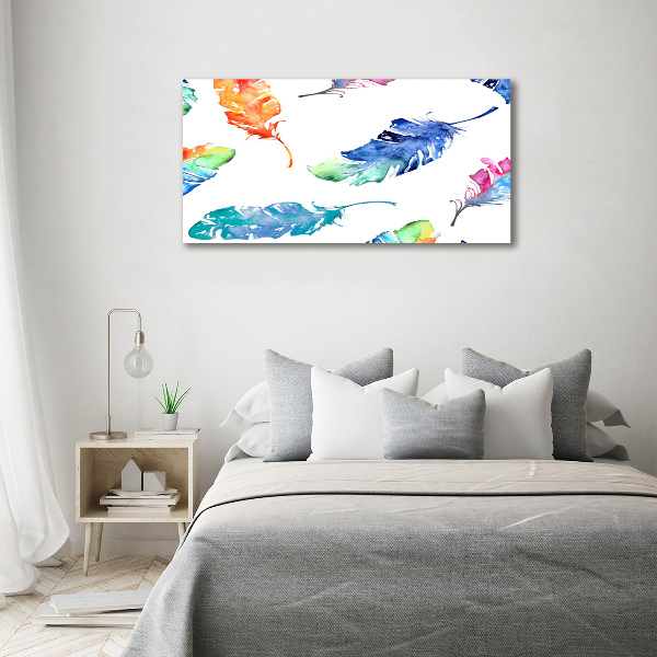 Acrylic wall picture Colorful feathers