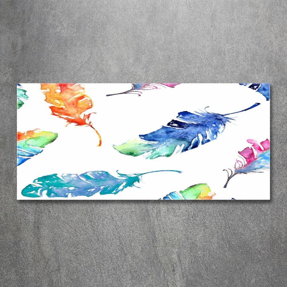 Acrylic wall picture Colorful feathers