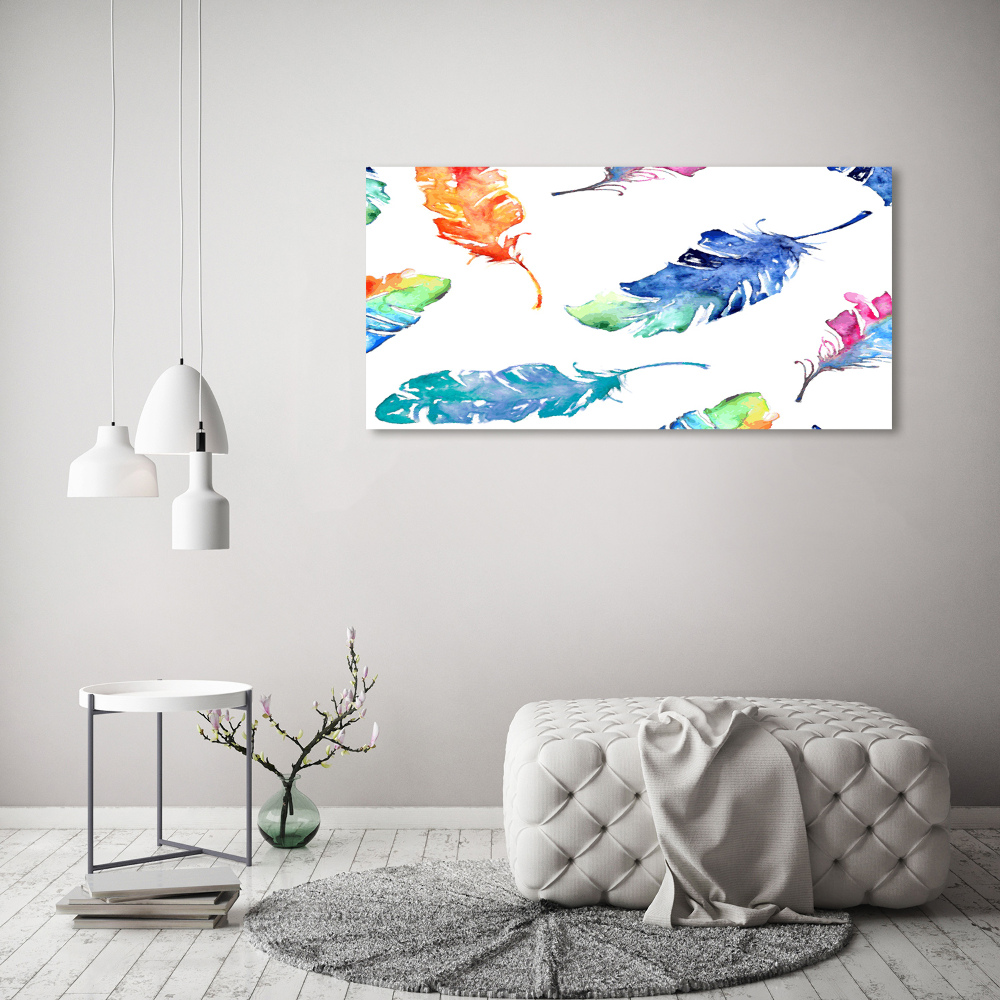 Acrylic wall picture Colorful feathers