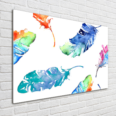 Acrylic wall picture Colorful feathers