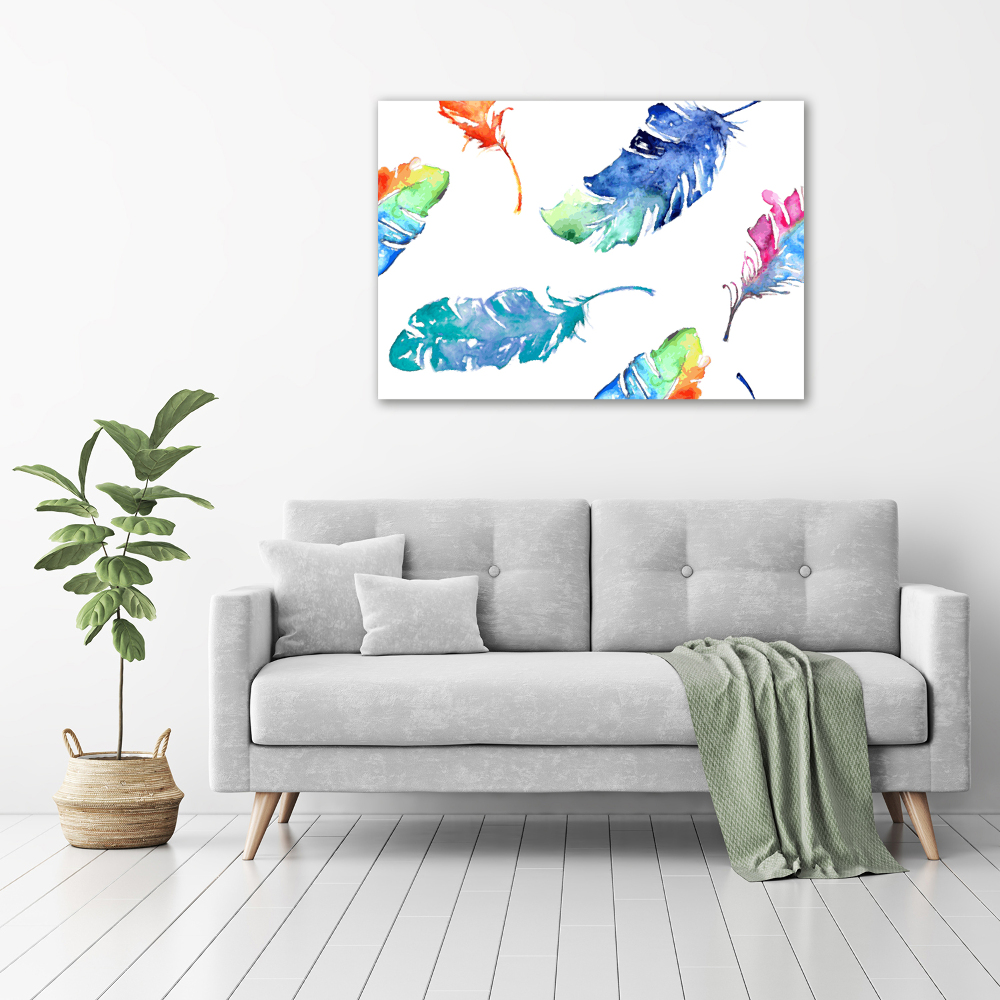 Acrylic wall picture Colorful feathers