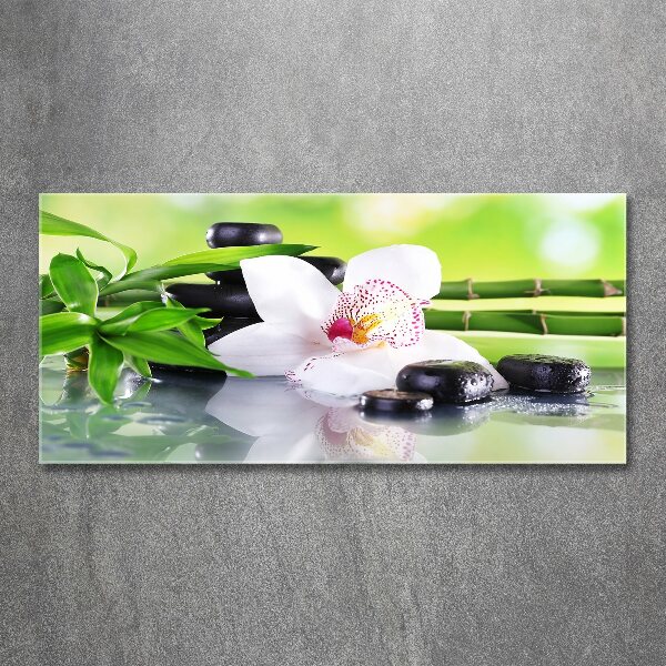 Acrylic print Orchid