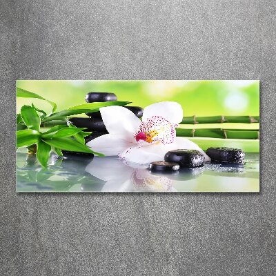 Acrylic print Orchid