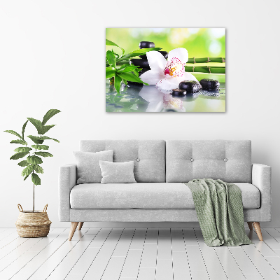 Acrylic print Orchid