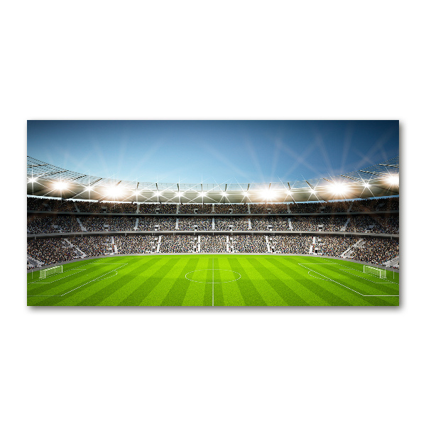 Wall art acrylic Stadium