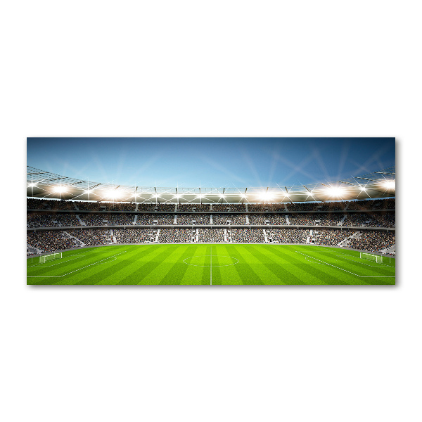 Wall art acrylic Stadium