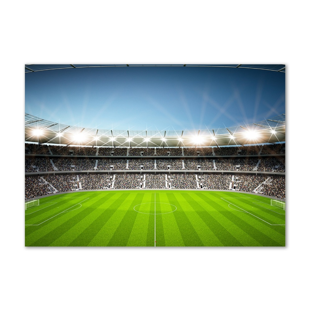 Wall art acrylic Stadium