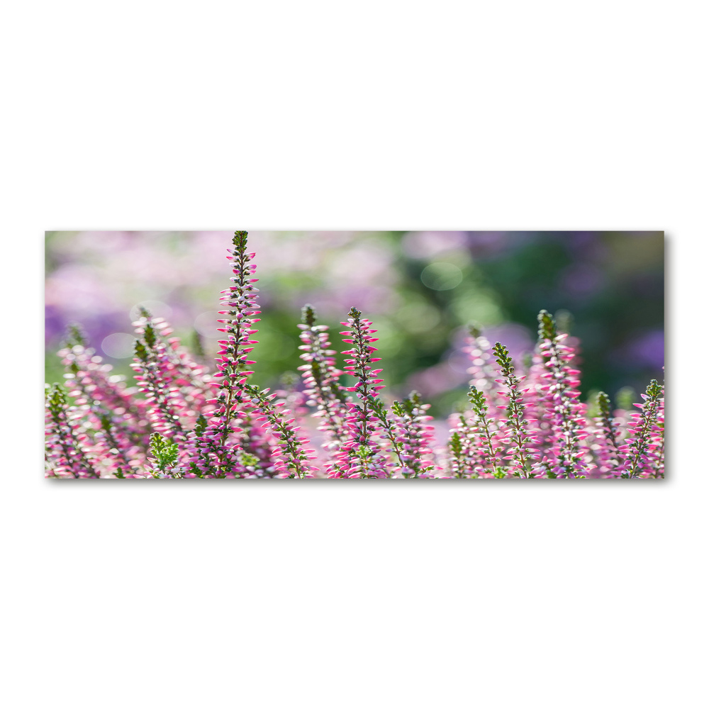 Print on acrylic Heather flowers