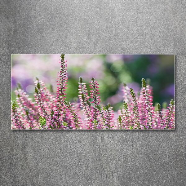 Print on acrylic Heather flowers