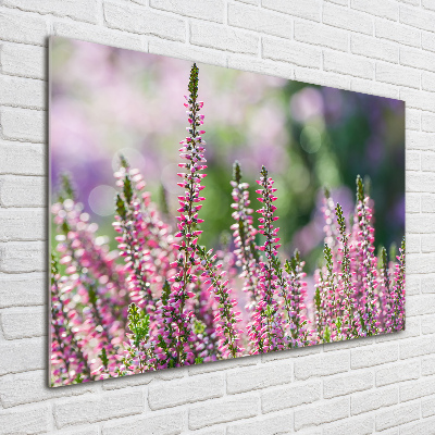 Print on acrylic Heather flowers