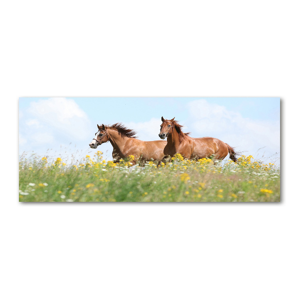 Wall art acrylic Two horses at a gallop