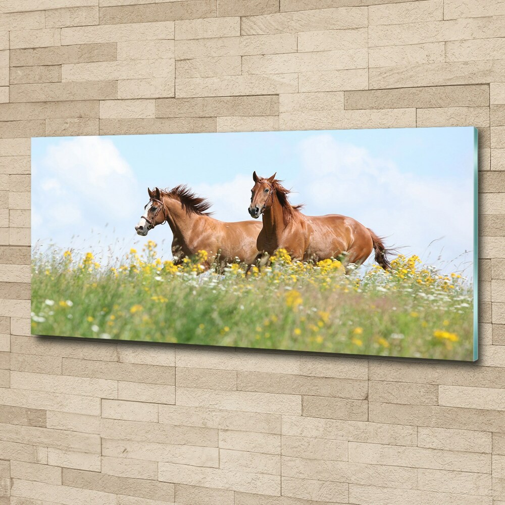 Wall art acrylic Two horses at a gallop