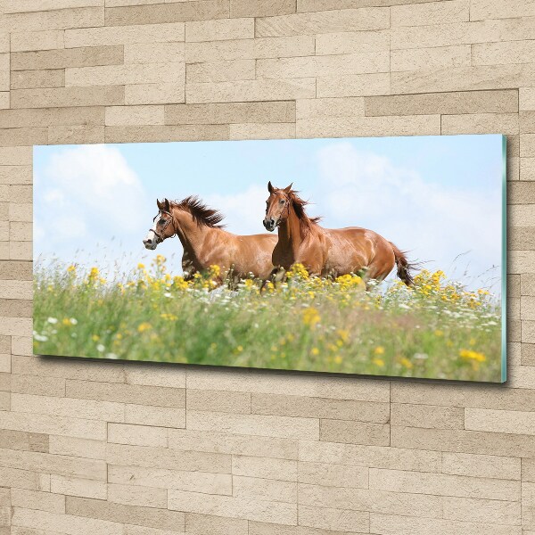 Wall art acrylic Two horses at a gallop