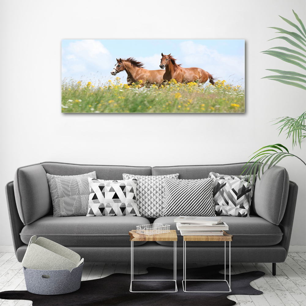 Wall art acrylic Two horses at a gallop