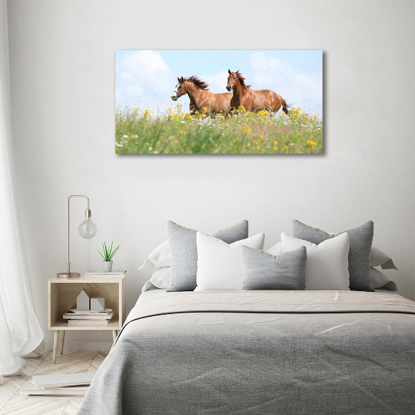 Wall art acrylic Two horses at a gallop