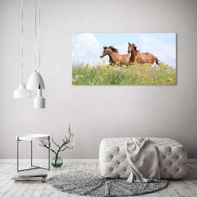 Wall art acrylic Two horses at a gallop