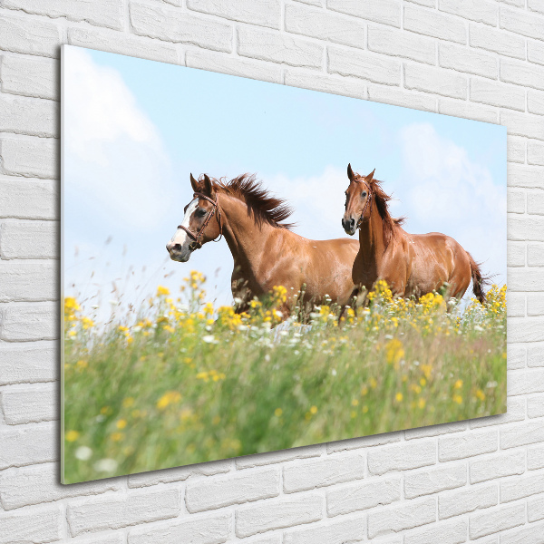 Wall art acrylic Two horses at a gallop