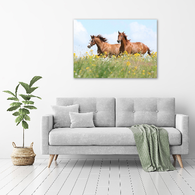 Wall art acrylic Two horses at a gallop