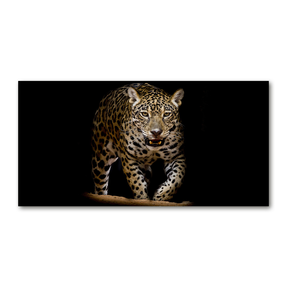 Wall art acrylic Jaguar