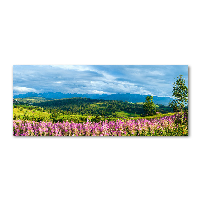 Acrylic wall art Lavender in the mountains