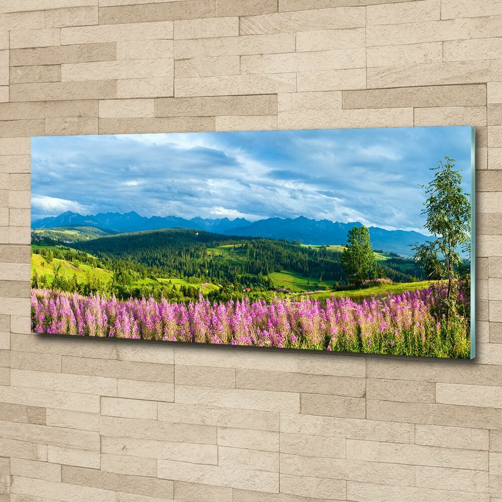 Acrylic wall art Lavender in the mountains