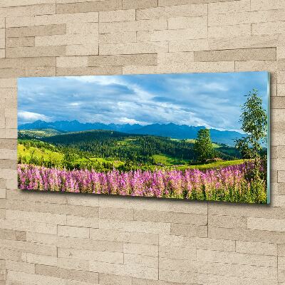 Acrylic wall art Lavender in the mountains