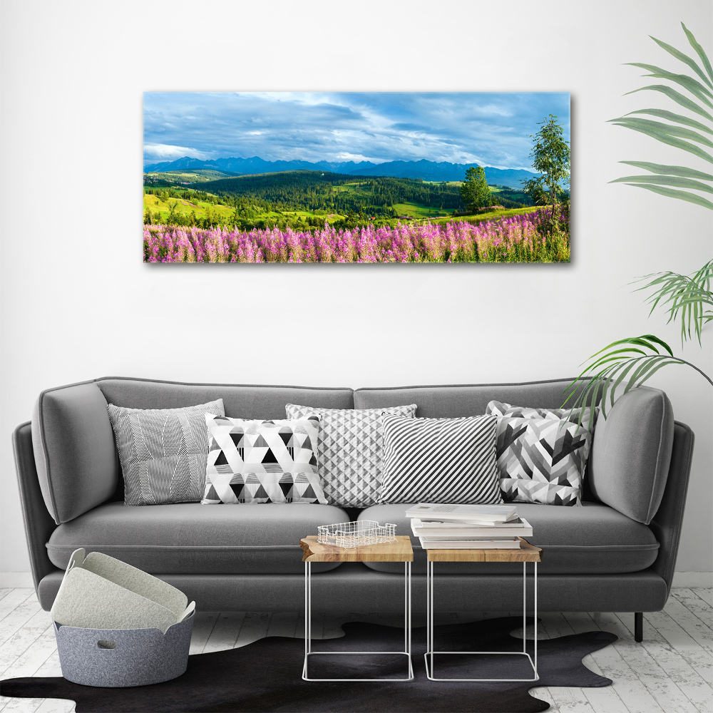 Acrylic wall art Lavender in the mountains