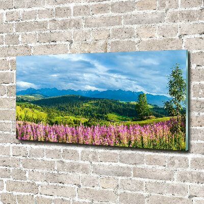 Acrylic wall art Lavender in the mountains