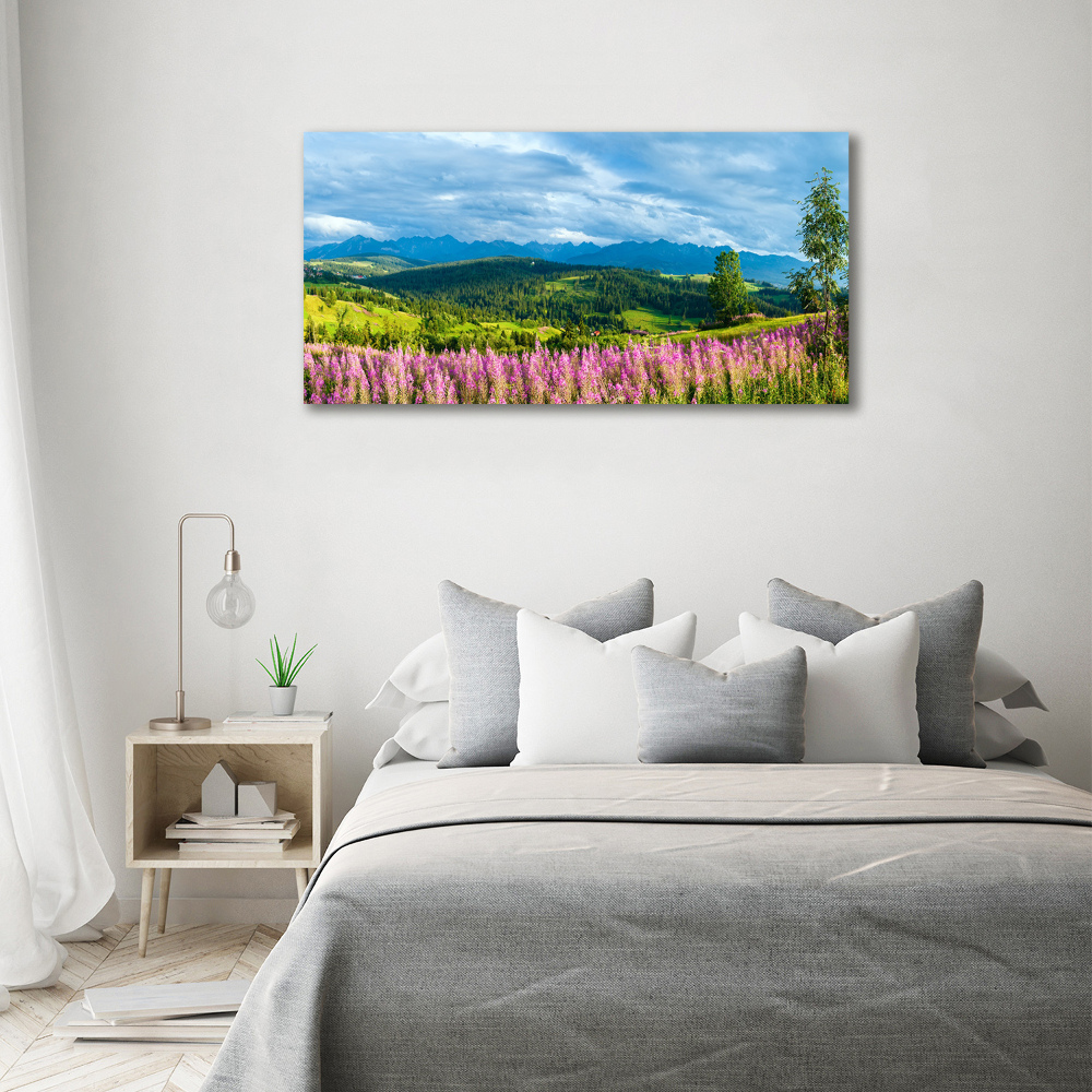 Acrylic wall art Lavender in the mountains