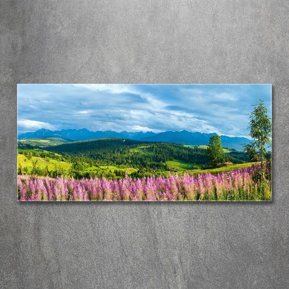 Acrylic wall art Lavender in the mountains