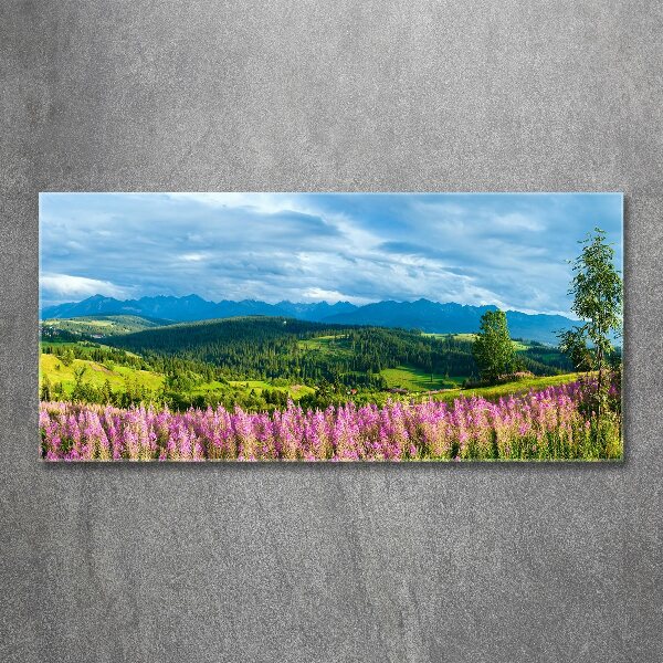 Acrylic wall art Lavender in the mountains