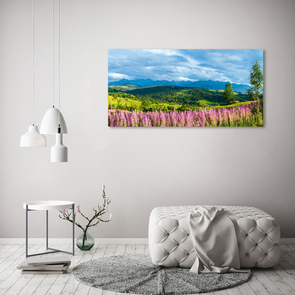 Acrylic wall art Lavender in the mountains