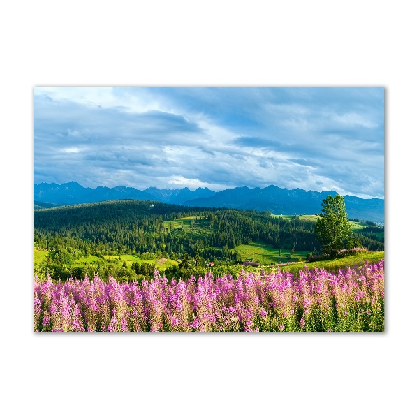 Acrylic wall art Lavender in the mountains