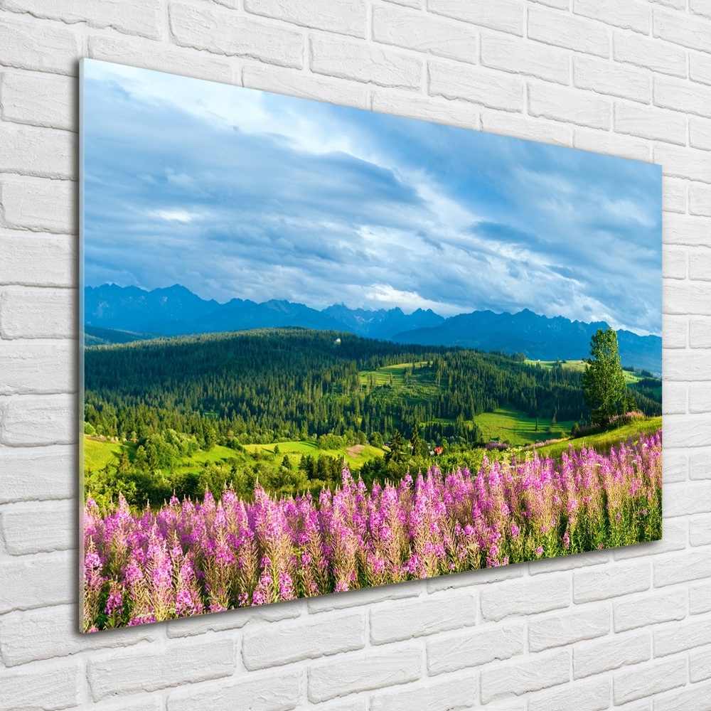 Acrylic wall art Lavender in the mountains