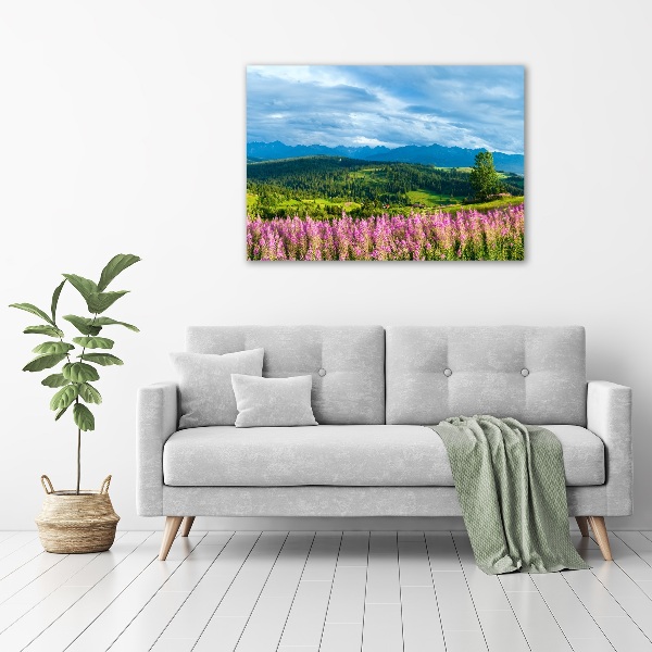 Acrylic wall art Lavender in the mountains