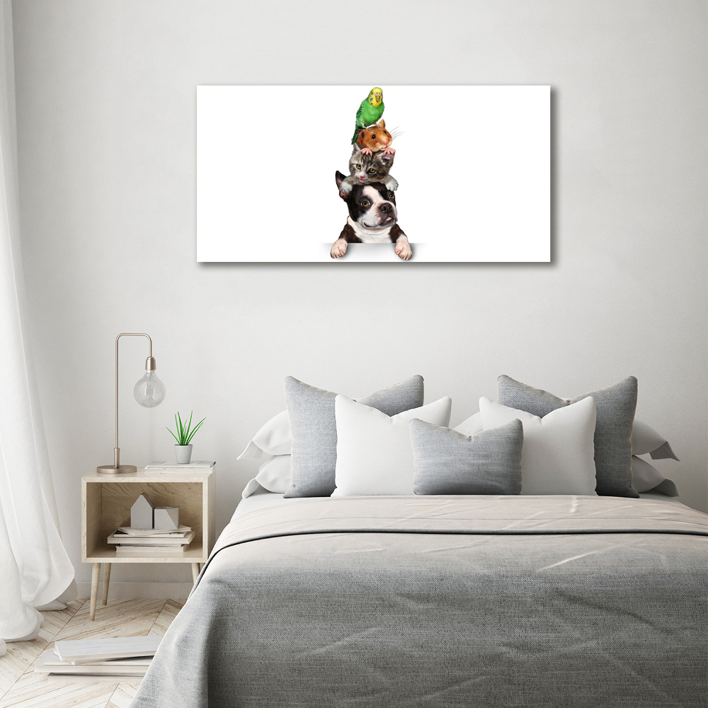 Acrylic wall art Animal group