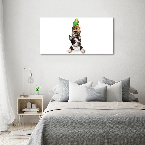 Acrylic wall art Animal group