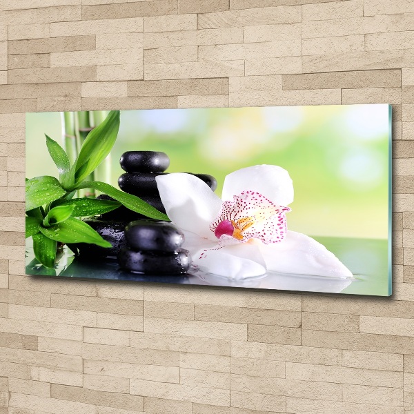 Acrylic wall art Orchid