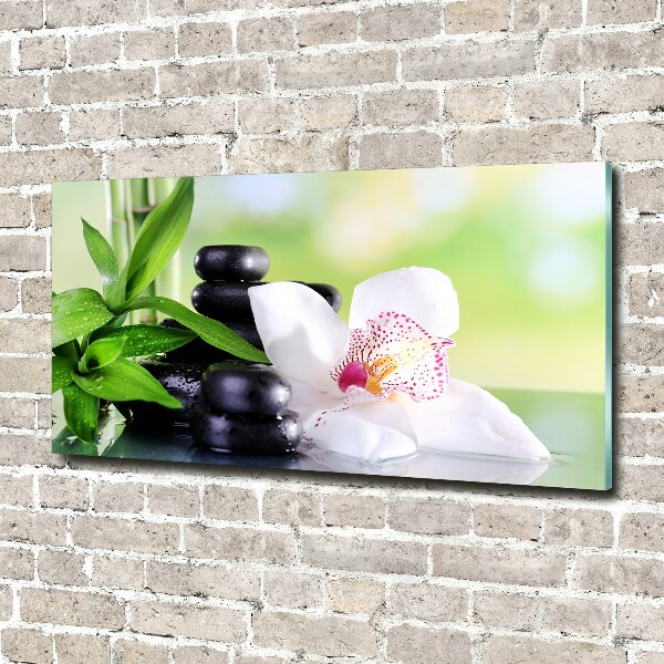 Acrylic wall art Orchid