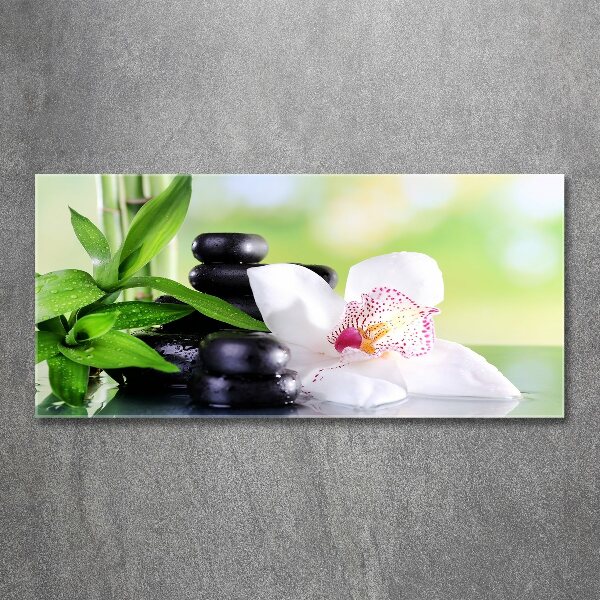 Acrylic wall art Orchid