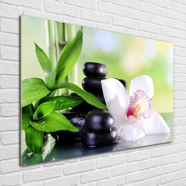 Acrylic wall art Orchid