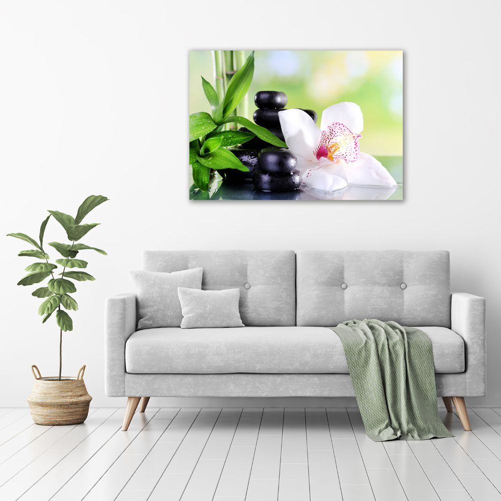 Acrylic wall art Orchid