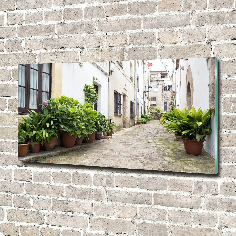 Print on acrylic Charming street