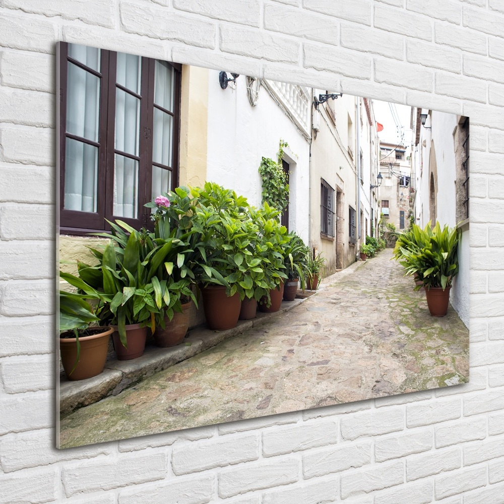 Print on acrylic Charming street