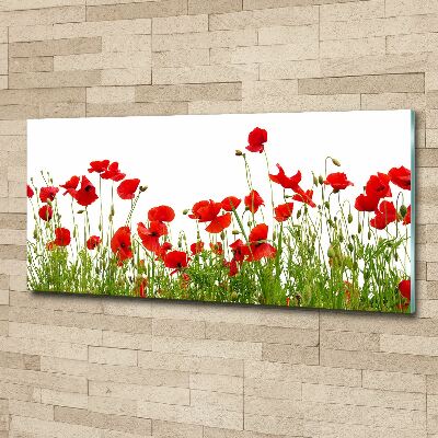 Acrylic wall art Macs