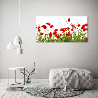 Acrylic wall art Macs