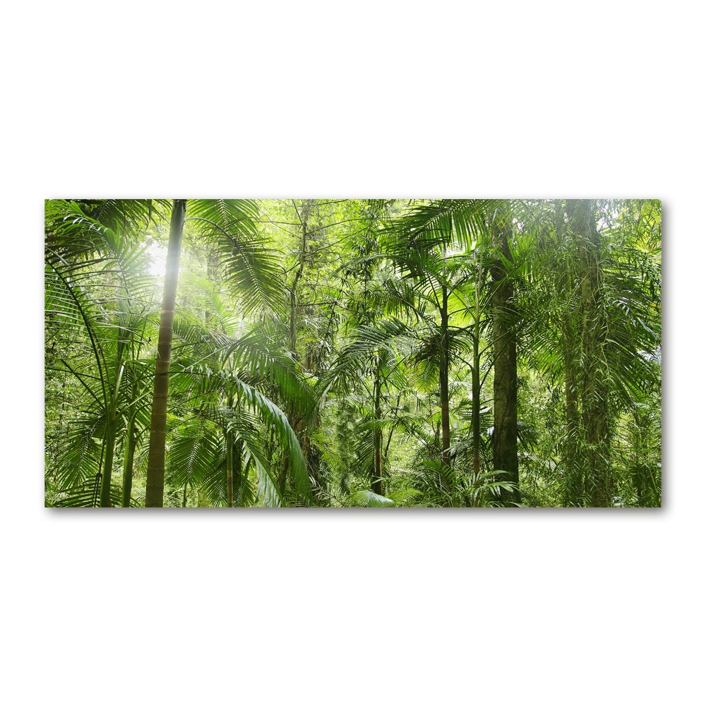 Wall art acrylic tropical forest