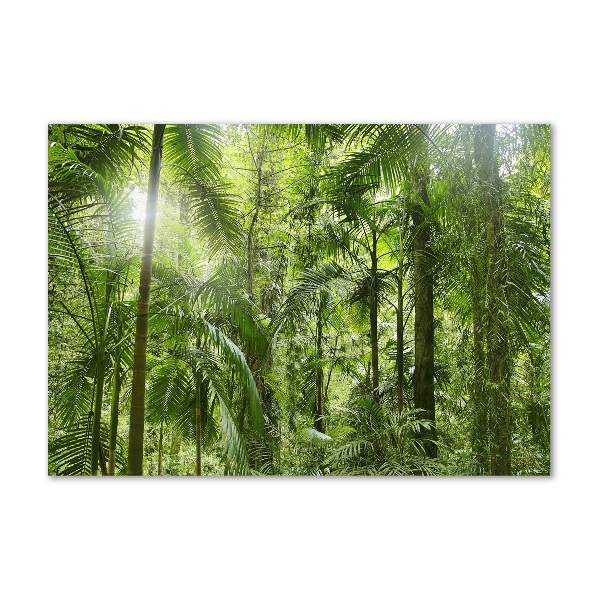 Wall art acrylic tropical forest