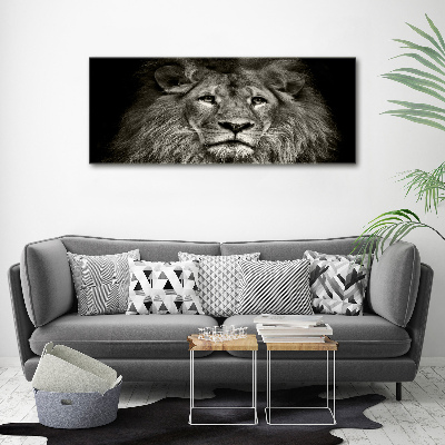 Print on acrylic Lion