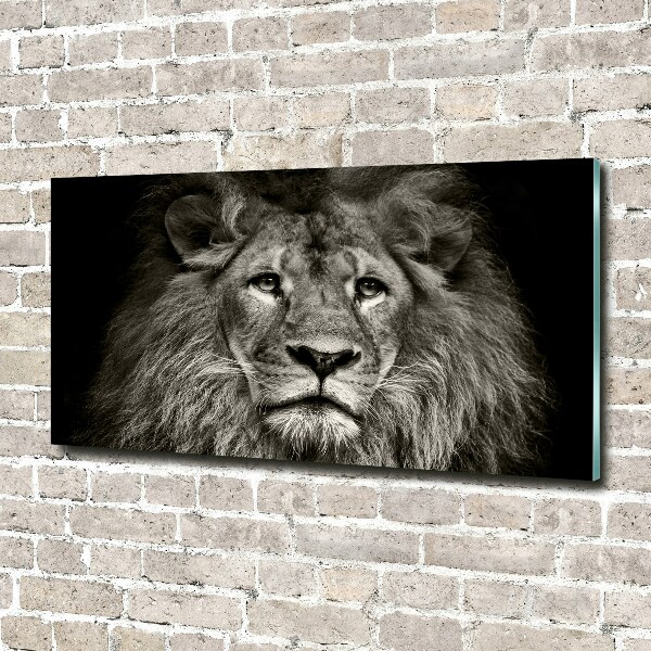 Print on acrylic Lion